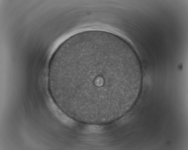 X0000116781514201001071226