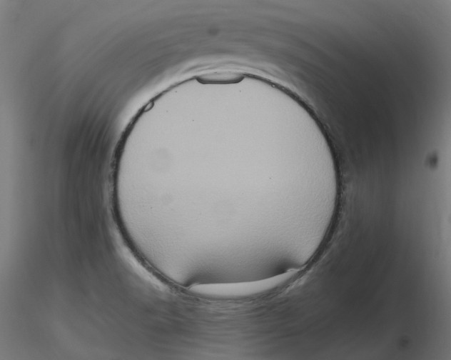 X0000116781518201001071226