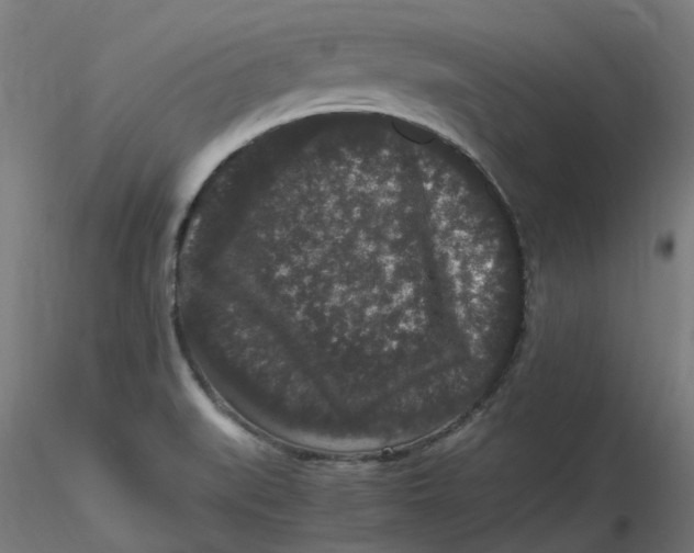 X0000116781519201001071226