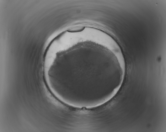 X0000116781522201001071226