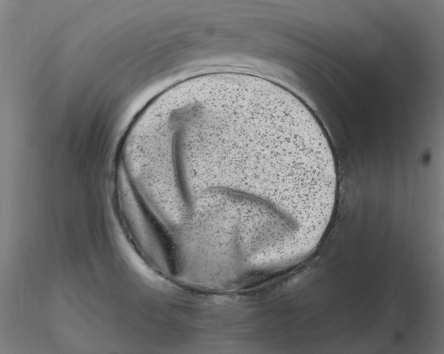 X0000116781523201001071226