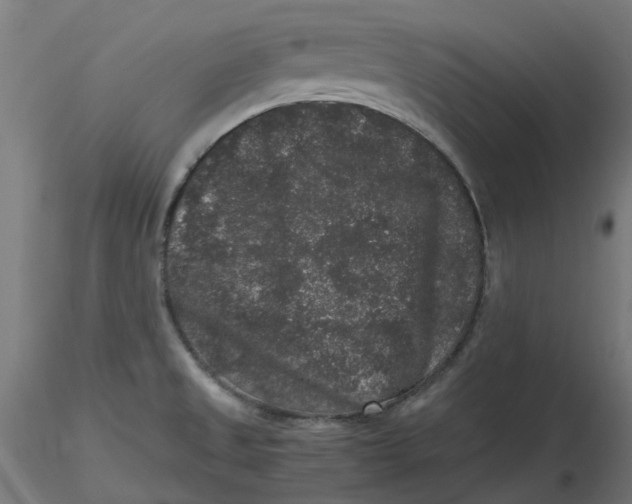 X0000116781525201001071226