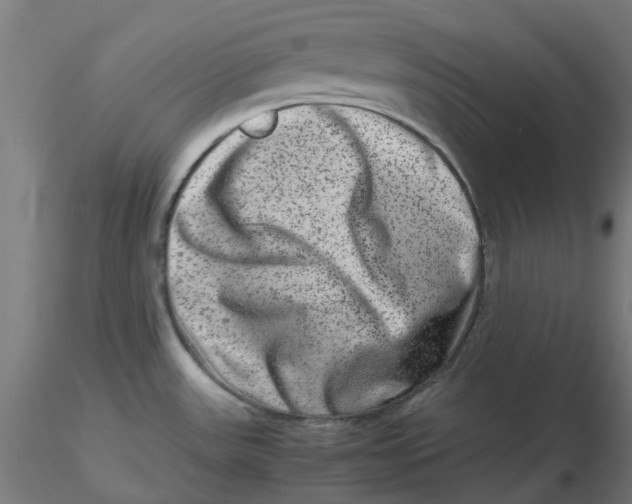 X0000116781531201001071226