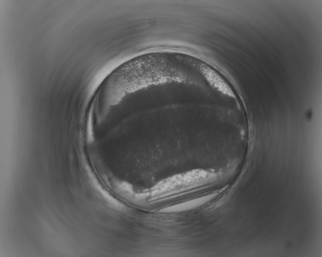 X0000116781533201001071226