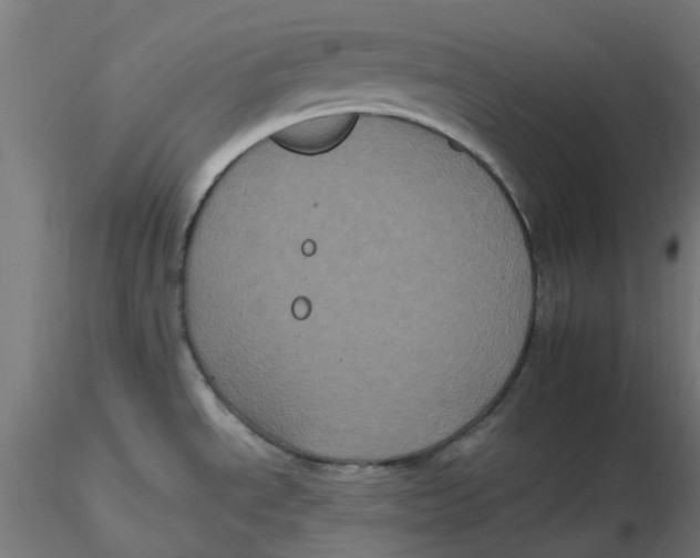 X0000116781534201001071226