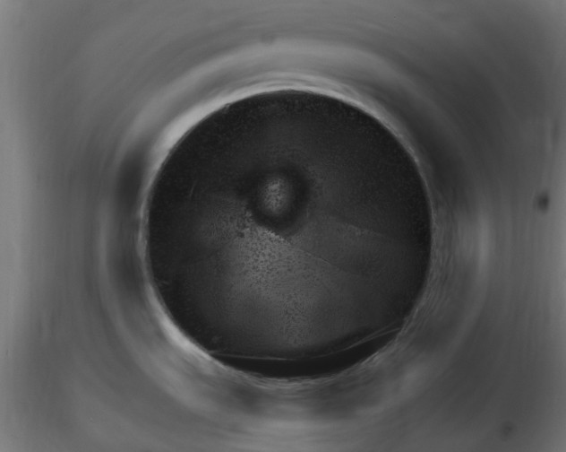 X0000116781535201001071226