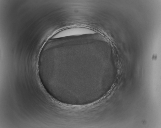 X0000116780002201001141521