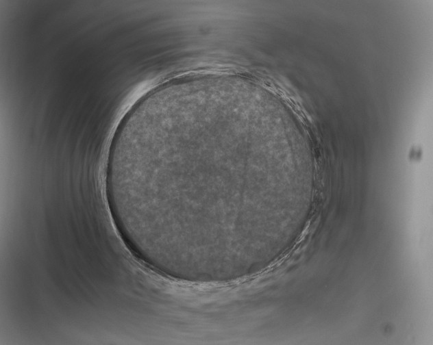 X0000116780003201001141521