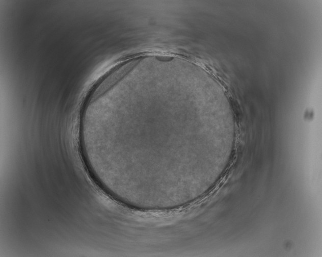 X0000116780005201001141521