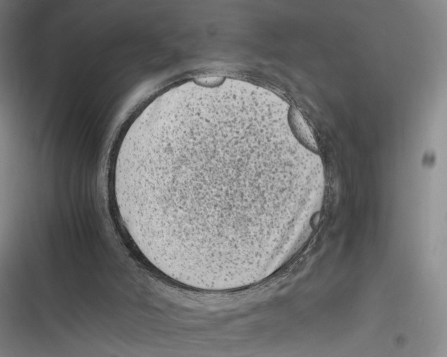 X0000116780006201001141521