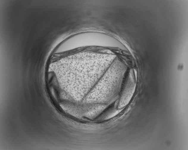 X0000116780008201001141521