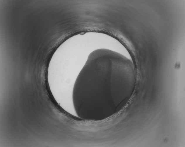 X0000116780009201001141521