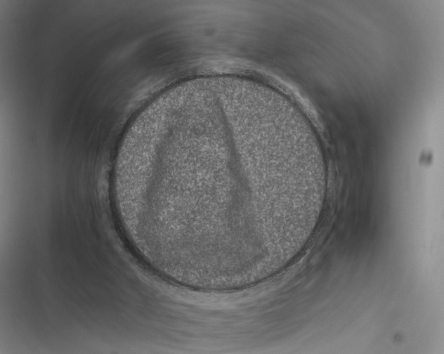 X0000116780010201001141521