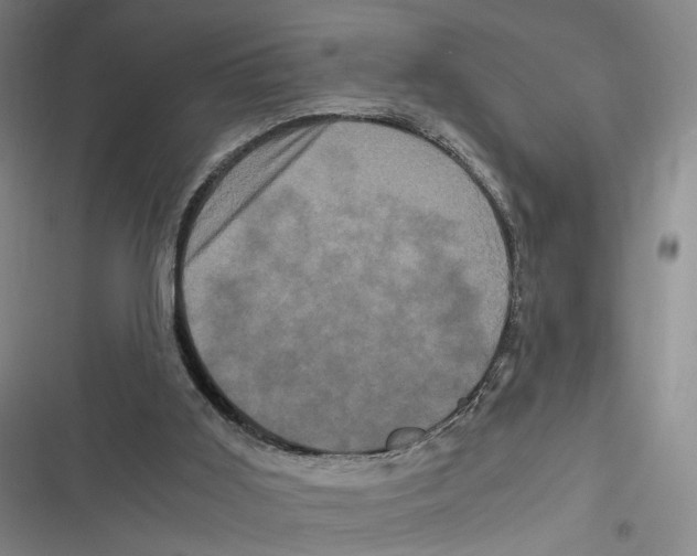 X0000116780011201001141521