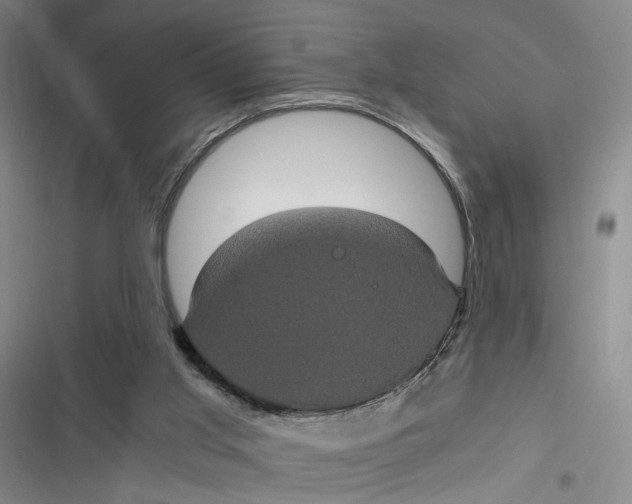 X0000116780013201001141521