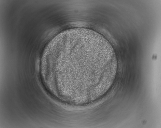 X0000116780014201001141521