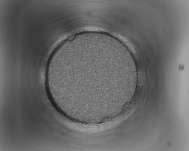 X0000116780015201001141521