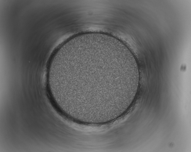 X0000116780016201001141521