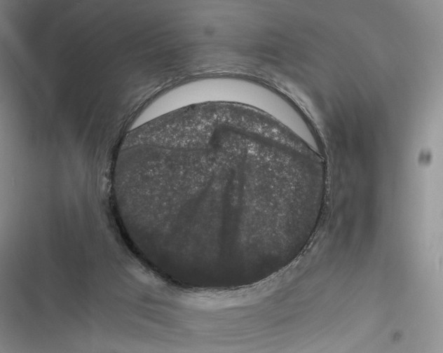 X0000116780017201001141521