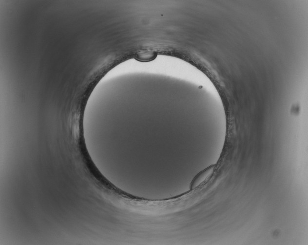 X0000116780019201001141521