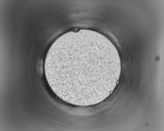 X0000116780020201001141521