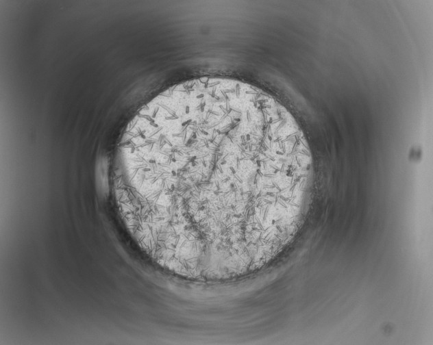 X0000116780022201001141521