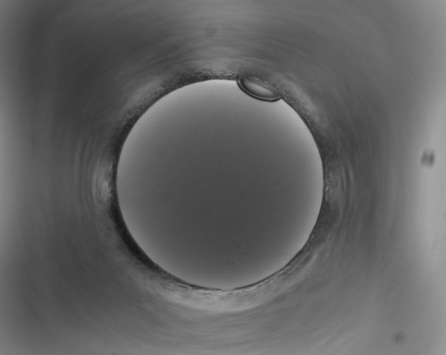 X0000116780023201001141521