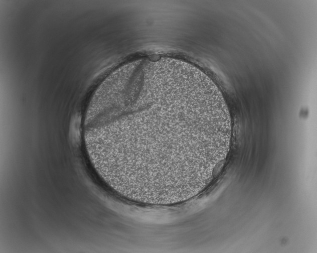 X0000116780024201001141521