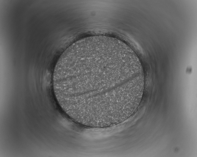 X0000116780025201001141521