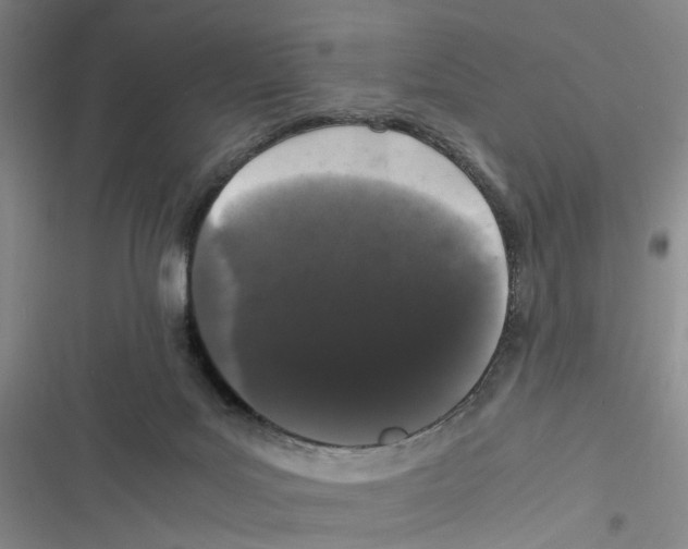 X0000116780027201001141521