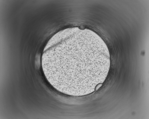 X0000116780028201001141521