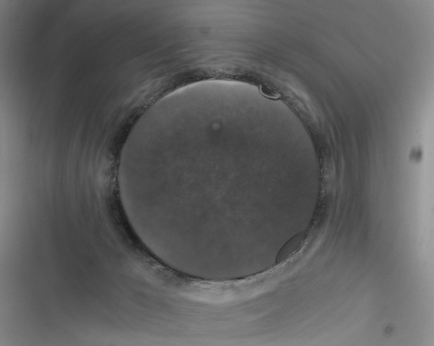 X0000116780029201001141521