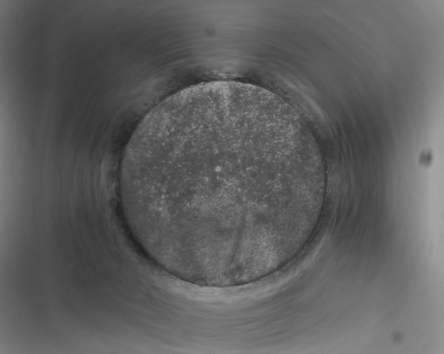 X0000116780030201001141521