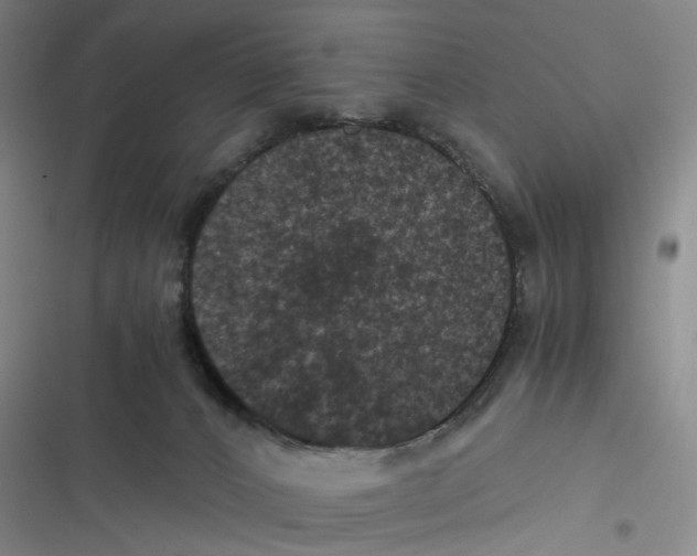 X0000116780032201001141521