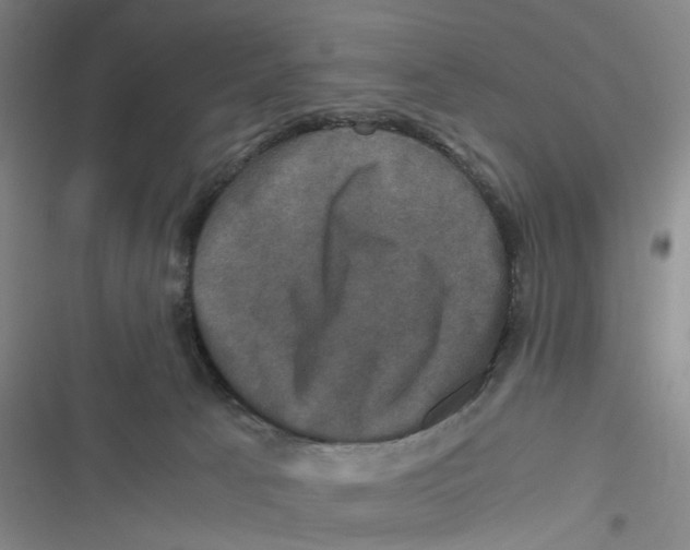 X0000116780033201001141521