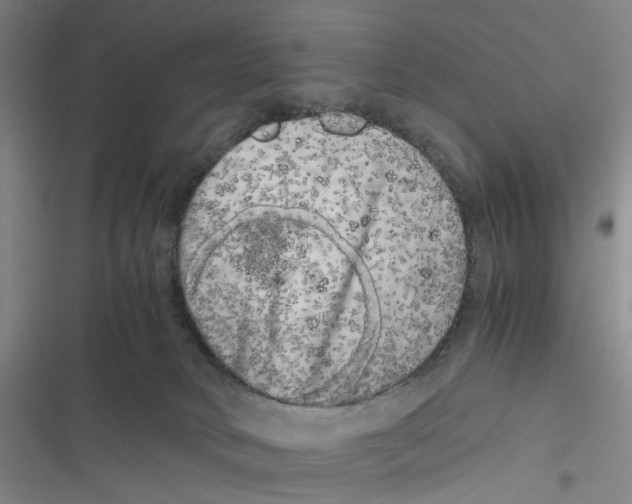 X0000116780034201001141521