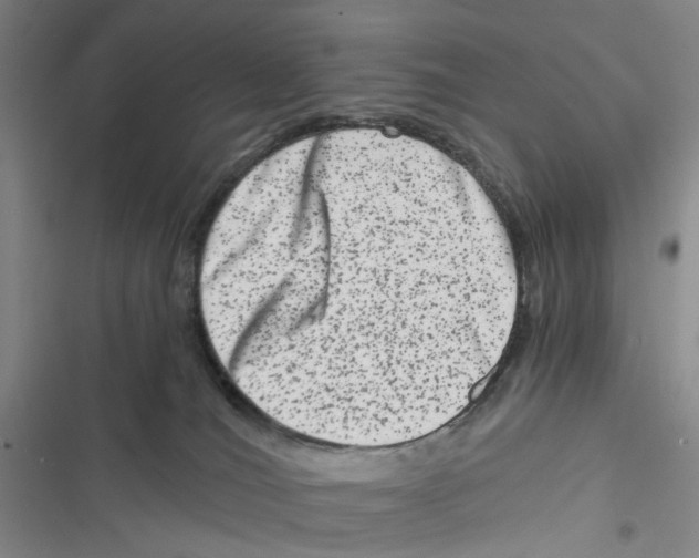 X0000116780036201001141521