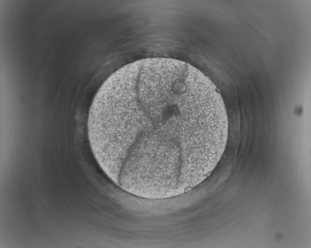 X0000116780038201001141521