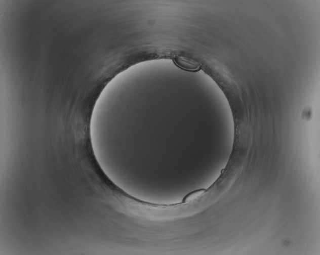 X0000116780039201001141521