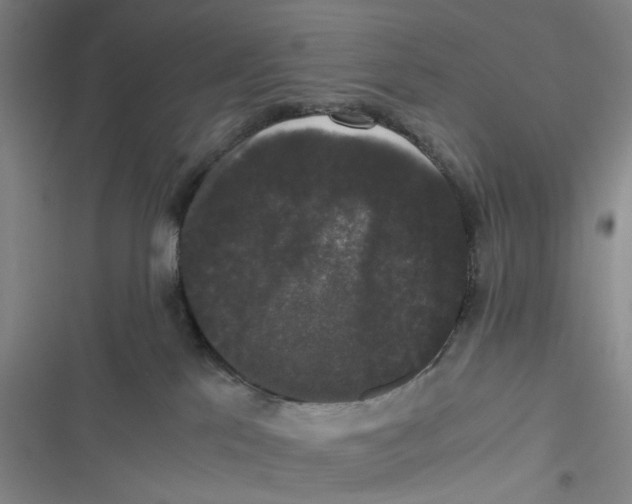 X0000116780041201001141521