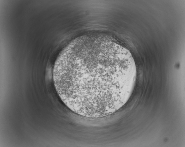X0000116780042201001141521
