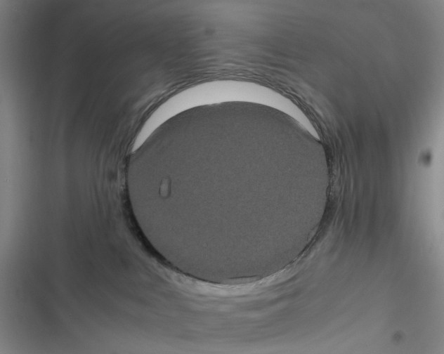 X0000116780043201001141521