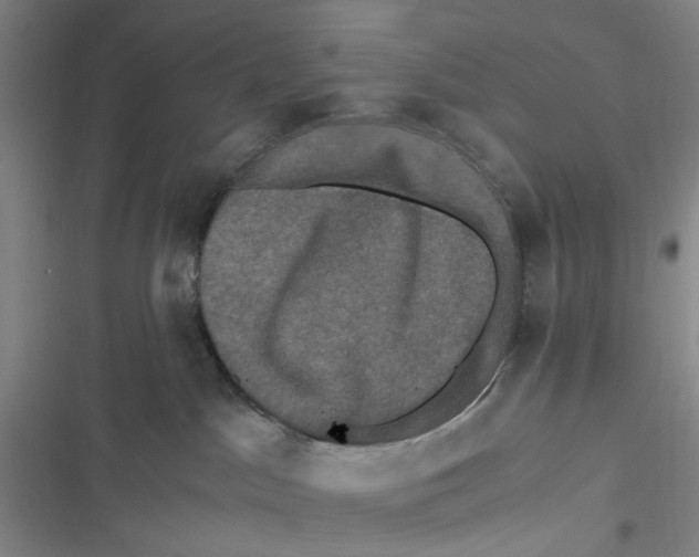 X0000116780045201001141521