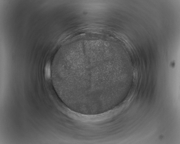 X0000116780046201001141521