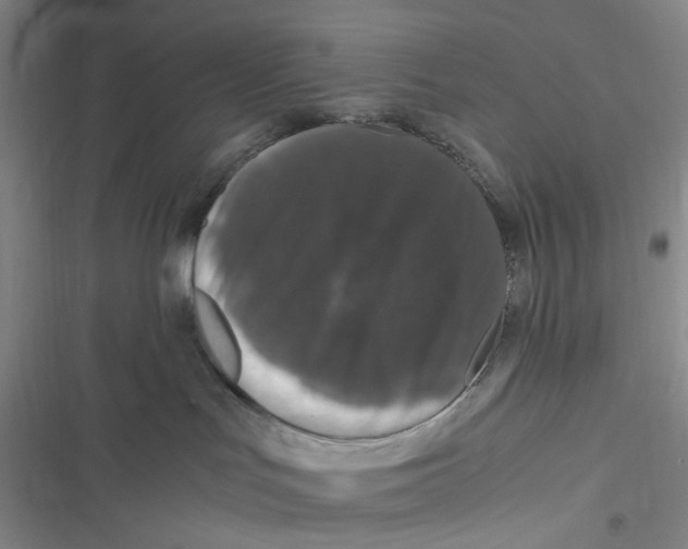 X0000116780047201001141521