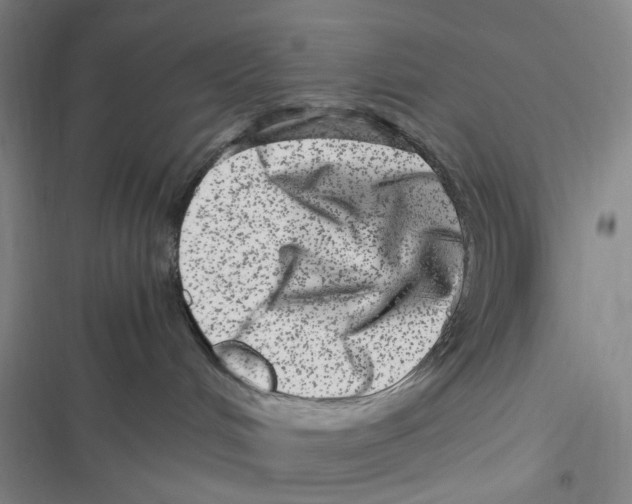 X0000116780048201001141521