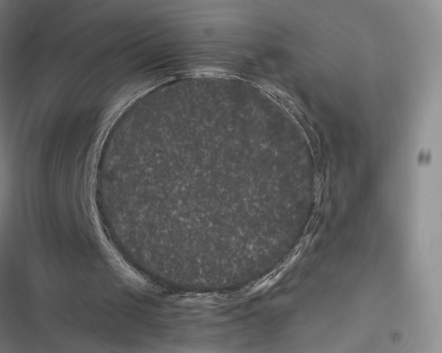 X0000116780049201001141520