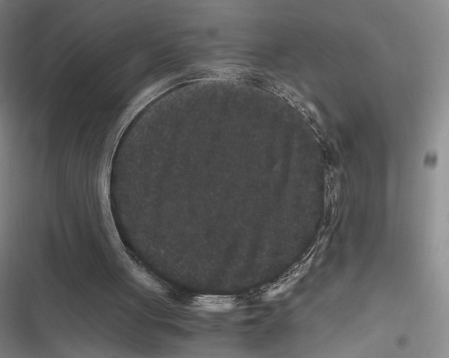 X0000116780051201001141520