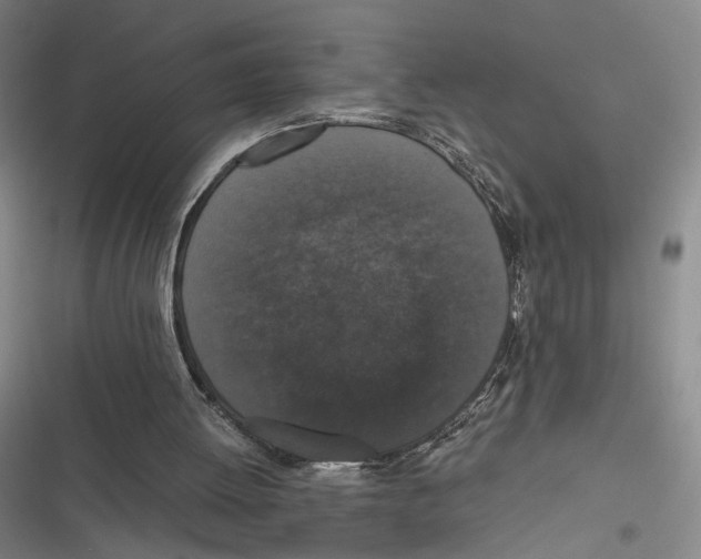 X0000116780052201001141520