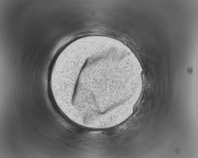 X0000116780054201001141520